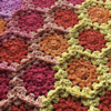 Scheepjes Garenpakket: Cozy Flowers Banket
