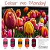 Kleurinspiratie Colour Crafter 20-02
