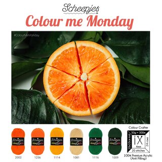 Scheepjes Kleurinspiratie Colour Crafter 20-27