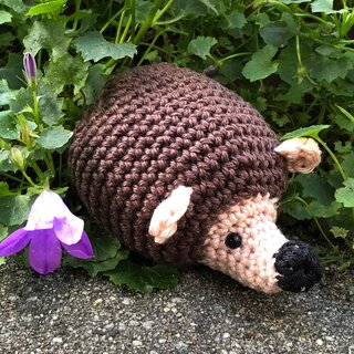 Caro's Atelier Mini haakpakket: Egeltje