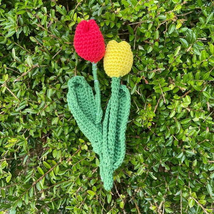 Caro's Atelier Mini haakpakket: Tulpjes