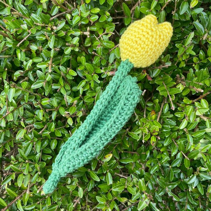 Caro's Atelier Mini haakpakket: Tulpjes