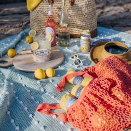 Durable Garenpakket: Picknick Deken Durable Cosy Fine (SS2-6)