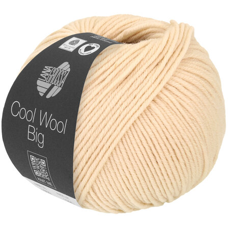 Lana Grossa Cool Wool Big 1016 - Schelp