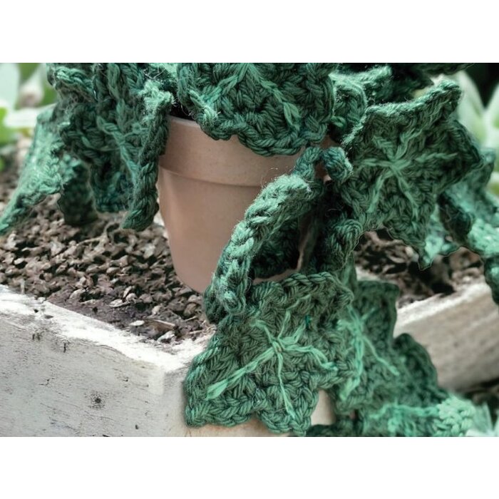 Durable Haakpatroon: Klimop plantje (Hedera Helix)