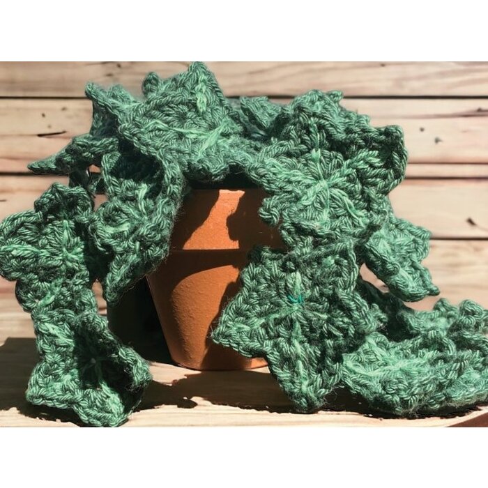 Durable Haakpatroon: Klimop plantje (Hedera Helix)