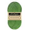 Scheepjes Woolwise 756 - Agave Green