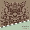Haakpakket:  Wise Owl