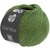 Cool Wool 1434 - Gemêleerd Groen