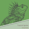 Haakpakket: Tropical Iguana
