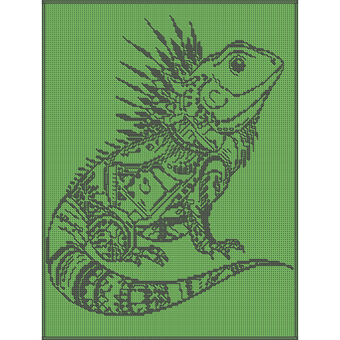 Haakpakket: Tropical Iguana