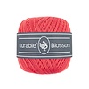Blossom 2190 - Coral