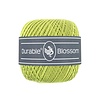 Blossom 352 - Lime