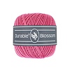 Blossom 228 - Raspberry