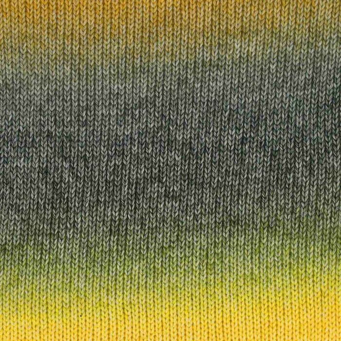 Scheepjes Stone Washed Flow 16 - Haze