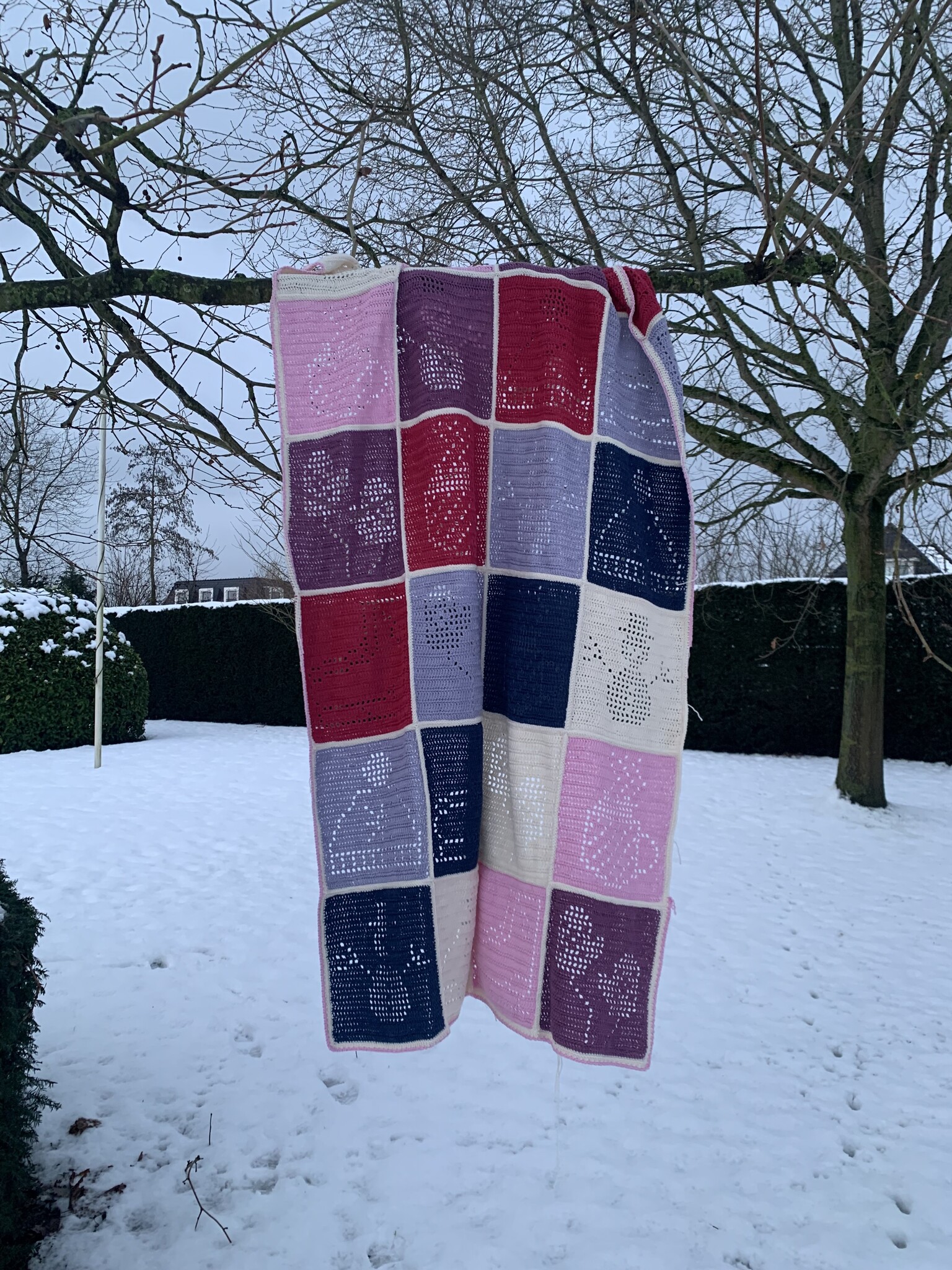 Caro’s Winter CAL 2026 - Sneeuwpret