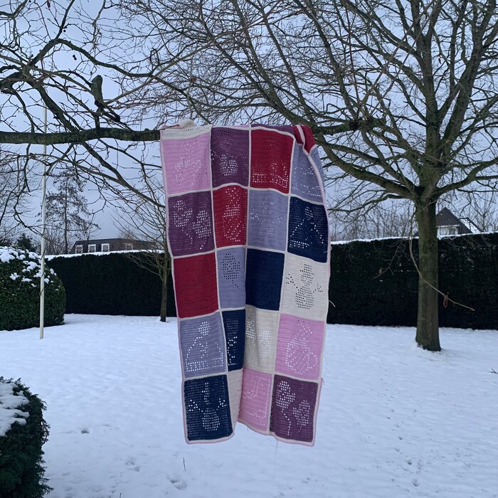 Caro’s Winter CAL 2026 - Sneeuwpret