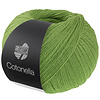 Cotonella uni 207 - Groen