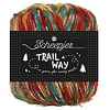 Trailway 008 - Autumn Leaves