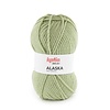Alaska 73 - Salie