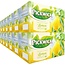 Pickwick-Tee Pickwick Lemon Fruit Tee 20 Beutel