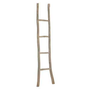 Ladder Must Have