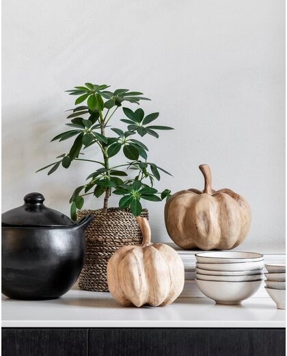 Pumpkins, set of 2