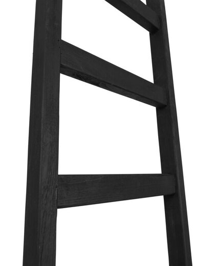 Ladder Steps black