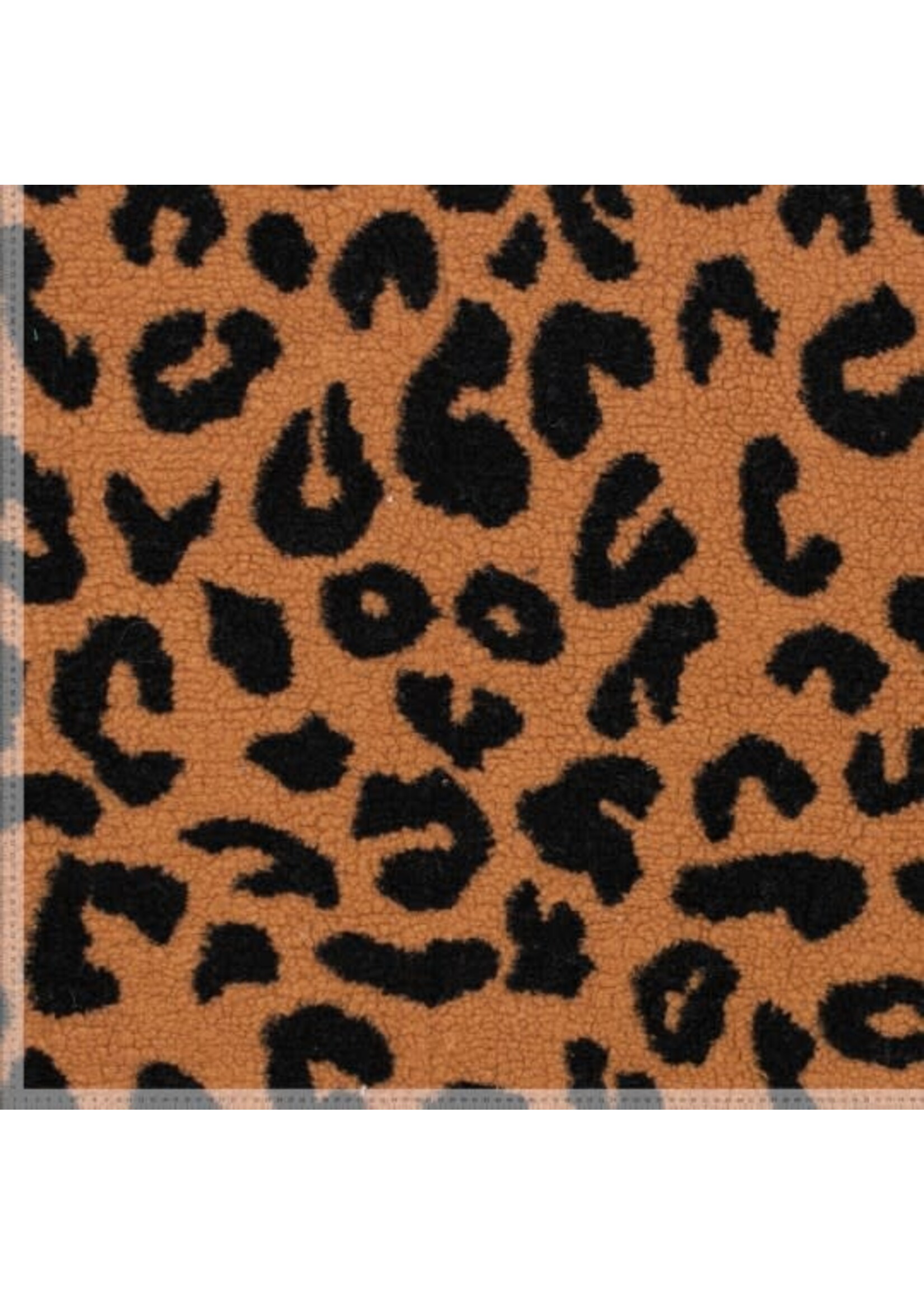 Panter bruin - Teddy (17.50 p.m)