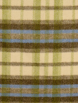 Checked felt coat green (27.00 p.m)