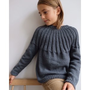 PetiteKnit Harald's Jumper Junior (EN)