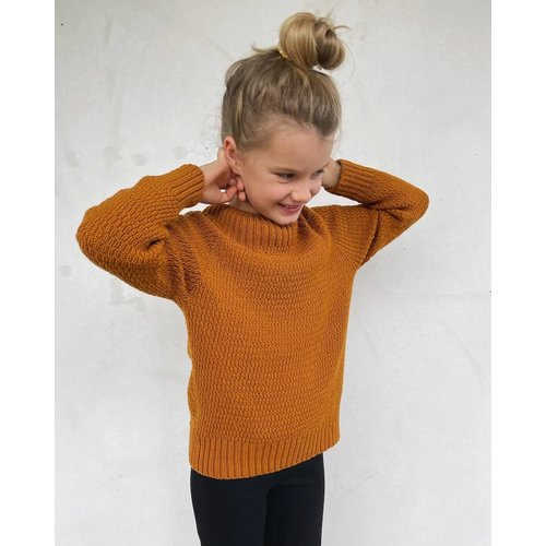 PetiteKnit Alfred's Sweater Junior (EN)