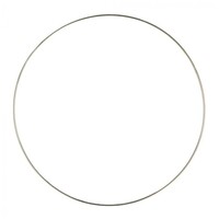 Dromenvanger ring 4mm RVS