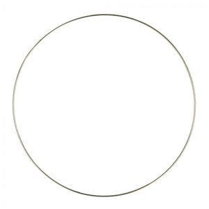 Dromenvanger ring 4mm RVS