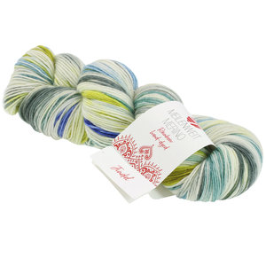 Lana Grossa Meilenweit Merino hand-dyed Rainbow 7004 Jindal