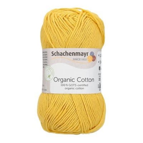 Schachenmayr Organic cotton 22