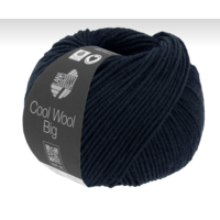 Cool Wool Big 1630