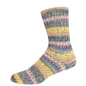 ONline Supersocke 100 Rio Color 2961