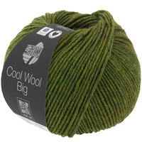 Cool Wool Big 1611 *