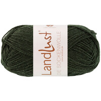 Landlust Die Sockenwolle Melange 1610