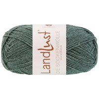 Landlust Die Sockenwolle Melange 1611
