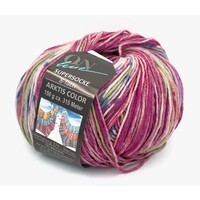 Supersocke 8-F Arktis Color 3098