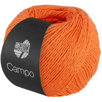 Campo 028