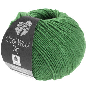 Lana Grossa Cool Wool Big 997