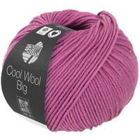 Cool Wool Big 1031