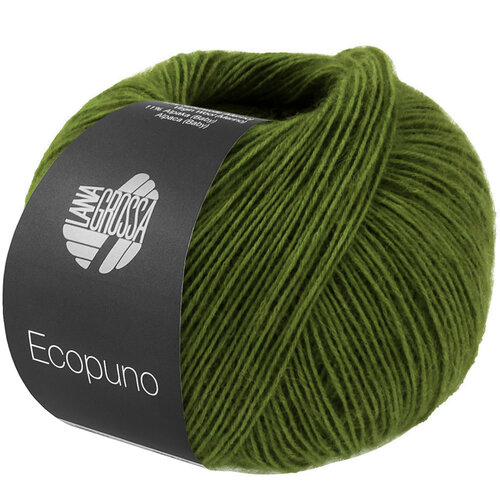 Lana Grossa Ecopuno 221
