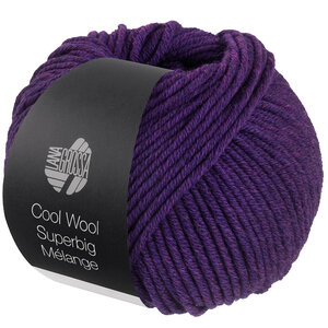 Lana Grossa Cool Wool Superbig 204