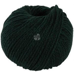 Lana Grossa Cool Merino Big 238