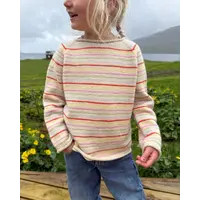 Frankie Sweater Junior (EN)