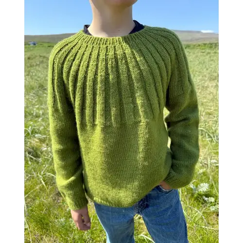 PetiteKnit Harald's Sweater (EN) PetiteKnit Harald's Sweater (EN)